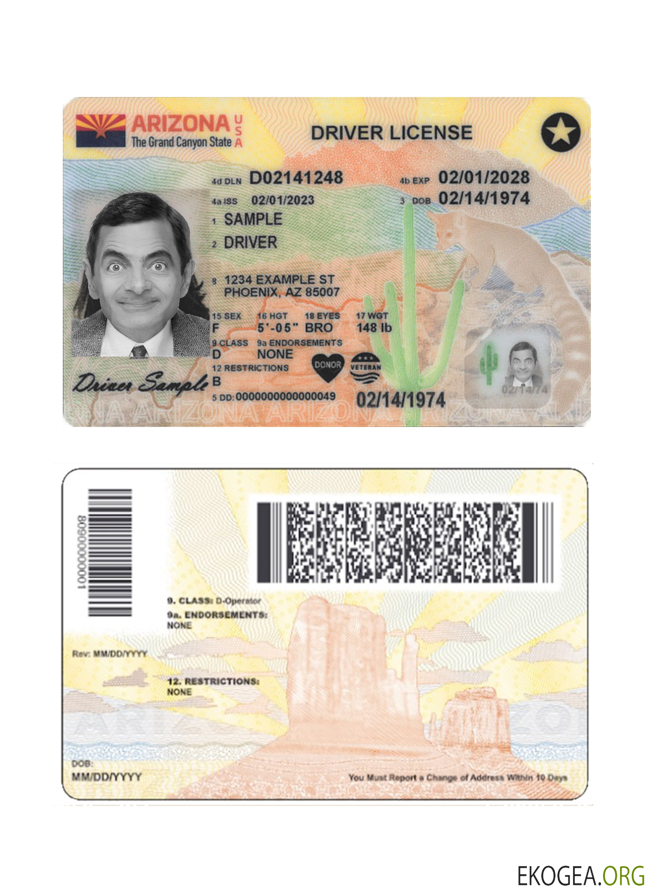 USA Arizona driving license 2023 present